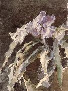 Mikhail Vrubel Orchid Norge oil painting reproduction
